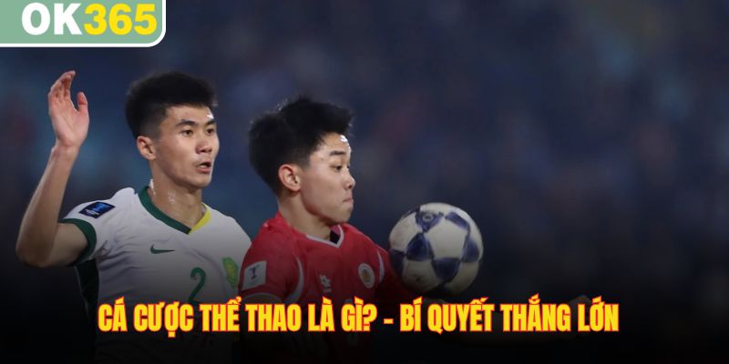 Cá cược thể thao là gì- bí quyết thắng lớn