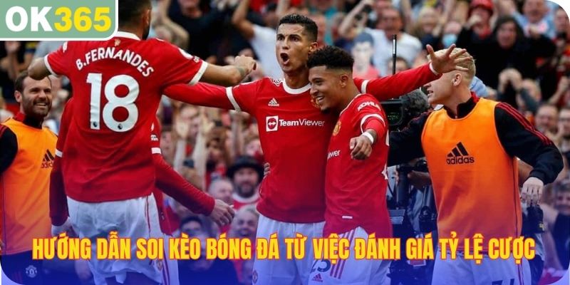Hướng dẫn soi kèo bóng đá từ việc đánh giá tỷ lệ cược
